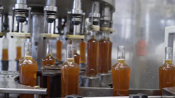 Spill of Tincture, Brandy or Whiskey in Glass Bottles at Plant. Conveyor Belt with Glass Bottles