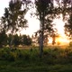 Sunrise In Summer Morning - VideoHive Item for Sale