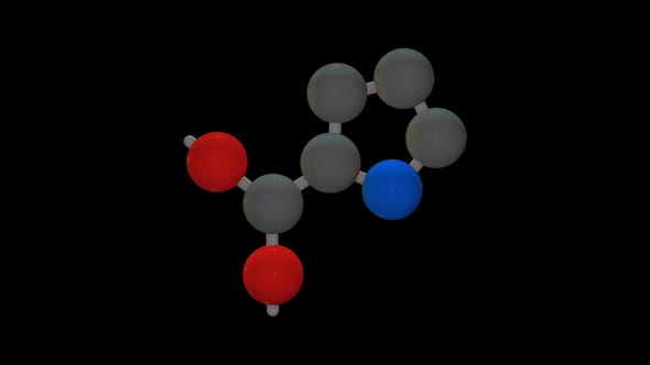 L-proline - Amino acid model