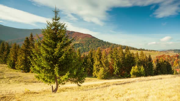 Carpathians Ukraine