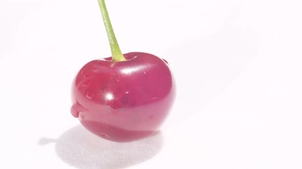 A Shot of a Red Cherry with a Root on a White Background