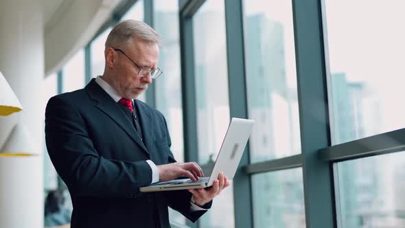 Senior businessman in cafe. Portrait of businessman using laptop in cafe