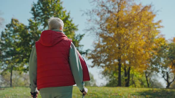 Closeup Shot of Woman Walking in Sunny Fall Park with Poles for Nordic Walking