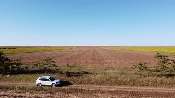 Aerial Photo of a Car Driving on a Rural Road Near a Field of Sunflowers