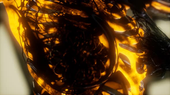 Human Skeleton Bones Scan Glowing alt