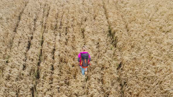 Girl Goes Through Field with Ears of Wheat