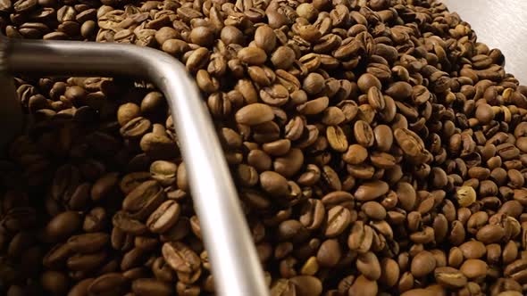 Roasting Process in an Industrial Coffee Roasting Machine in a Factory