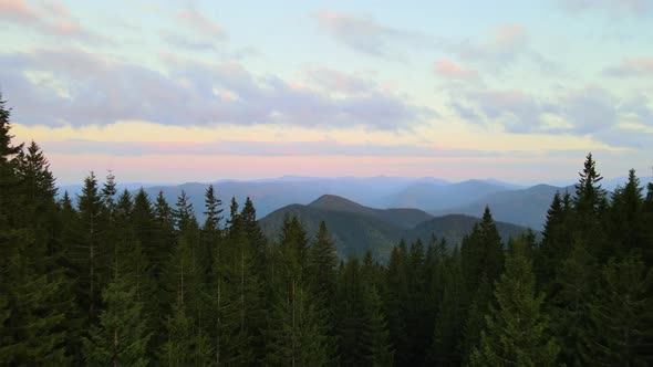 Aerial View of Bright Foggy Morning Over Dark Peak with Mountain Forest Trees at Autumn Sunrise