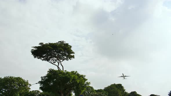 Take-off Aircraft on the Background of Trees in the Indonesian Village
