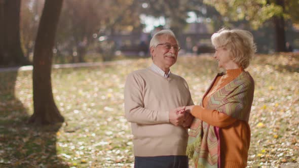 Handsome senior couple embracing in autumn park