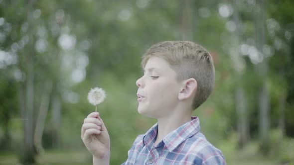 Boy blowing dandelion seedhead