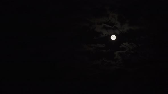 Full moon timelapse behind clouds at night outdoors. Moon move slow to tree branches