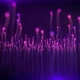 Flying Purple Strands - VideoHive Item for Sale
