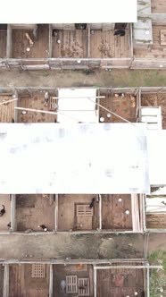 Aerial View of a Shelter for Stray Dogs