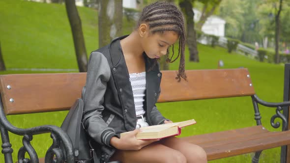 Concentrated Girl with Afro Pigtails Reading Book Outdoors. Portrait of Cute African American