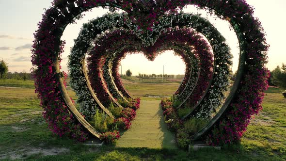 Scenic Landscape of Beautiful Summer Park Dobropark at Sunrise Motyzhyn Ukraine