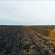 The Camera Moves on the Burnt Field - VideoHive Item for Sale