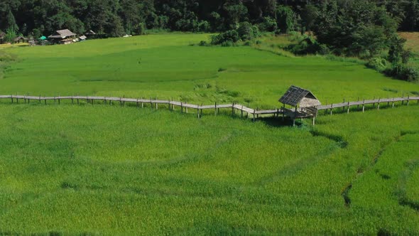 Bamboo Bridge in Pai, Mae Hong Son, Chiang Mai, Thailand