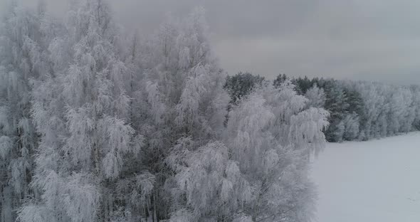Winter Landscape with Forest, Field, Winter Landscape