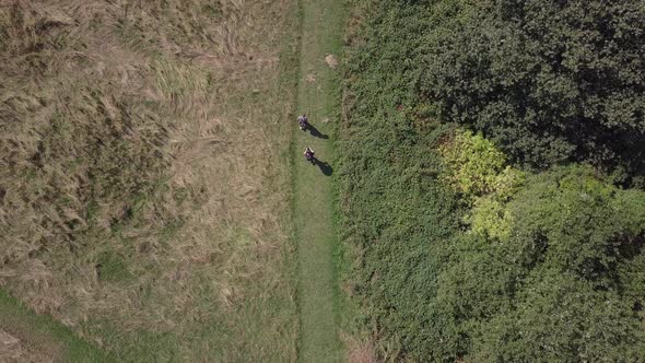 Drone aerial top down view of 2 guys walking along path in woods, open green. Filmed in Trent Park N