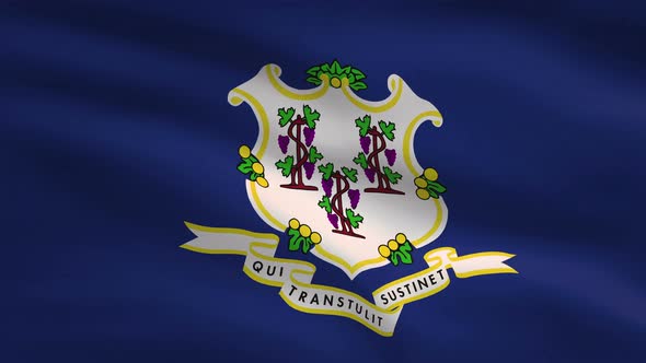 Connecticut State Flag Background 4K