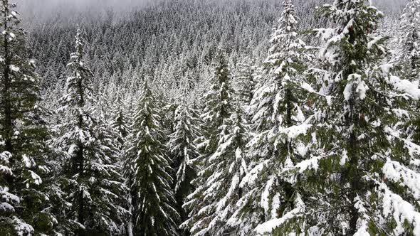 Flying over snow covered forest in Oregon