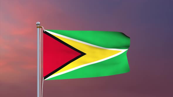 Guyana Flag 4k