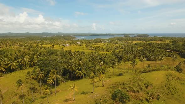 Farmland in Province Philippines