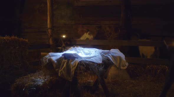 Manger with Blanket in Stable on Christmas Day