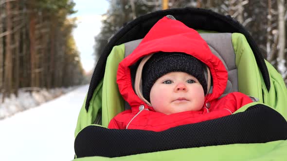 Adorable 7 Month Baby in Stroller Winter Time