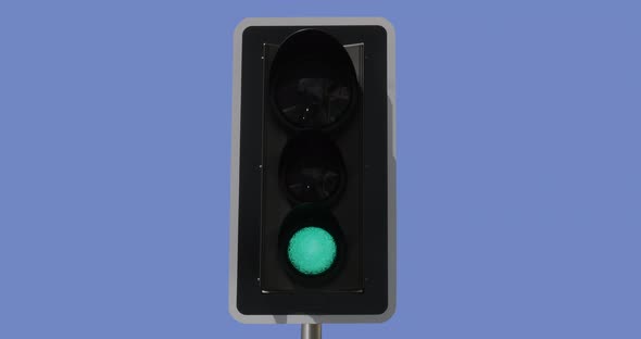 Traffic Light in Normandy, Real Time 4K