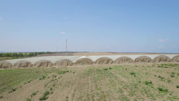 Greenhouses At Kibbutz Alumim at Sdot Negev, Israel