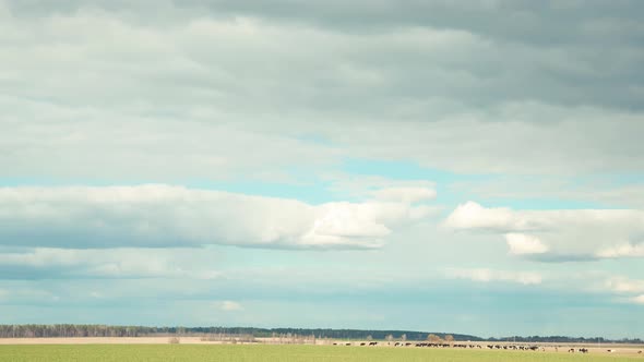 Timelapse Of Summer Rural Meadow Landscape Under Scenic Sky