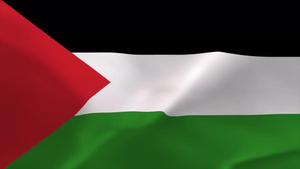 Palestine Waving Flag Animation 4K Moving Wallpaper Background