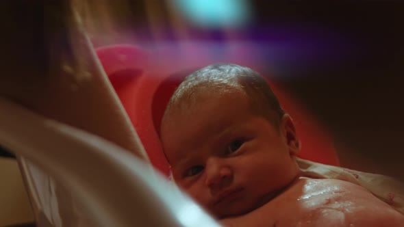 Newborn Baby Seven Days Old Bathe In Bath In Water