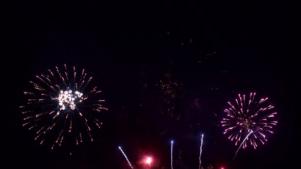 Colorful Firework display at night on sky background