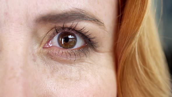 Brown Eye of a Woman With a Foxy Hair