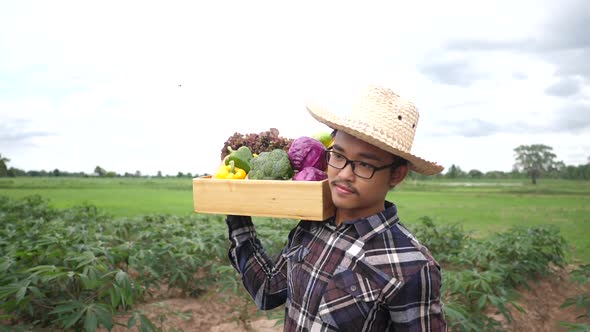 Asian farmers carry organic vegetable crates