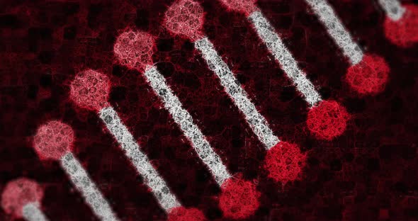 Human Biology DNA Skull Brain animation 4k alt