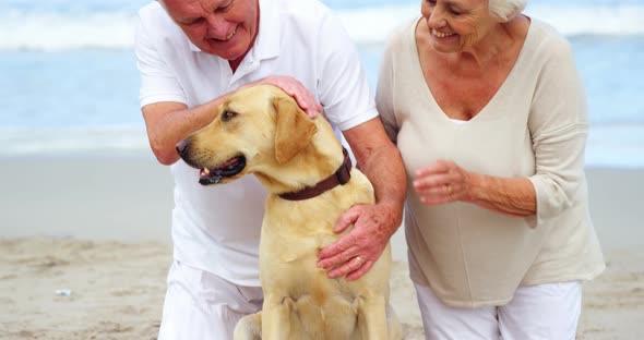 Happy senior couple petting their dog on the beach