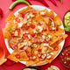 A Plate of Delicious Tortilla Nachos with Melted Cheese Sauce Grilled Chicken - VideoHive Item for Sale