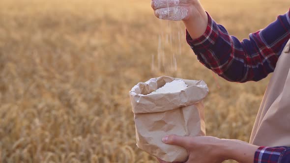 Paper Bag With White Flour. Woman Standing In Field With Paper Bag Flour In One Hand, Pouring Wheat