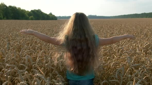 Little girl running cross the wheat field at sunset. Slow motion. The concept of a happy family. 