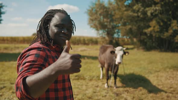 African Farmer with Thumbs Up on the Farm Field with Cow in the Background