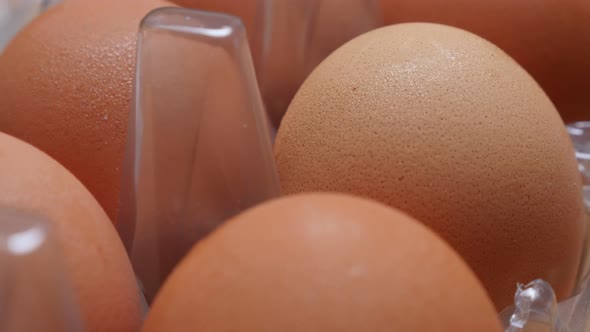 Fresh hen organic eggs in plastic box arranged in a row 4K 2160p 30fps UHD slow tilting footage - Eg