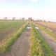 POV Driving on Rough Rural and Closed Road Between the Farmfields - VideoHive Item for Sale
