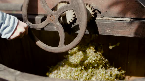 Grape Press