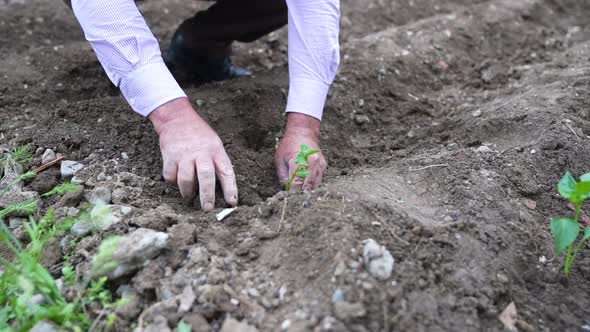 Farmer Sowing Seeds