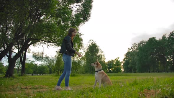 Female Throwing Food To Her Dog, a Puppy Catches It on the Fly. Slow Motion.