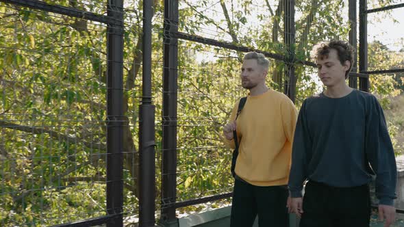 Guys Come on a Court to Play Basketball with Friends on a Sunny Autumn Day